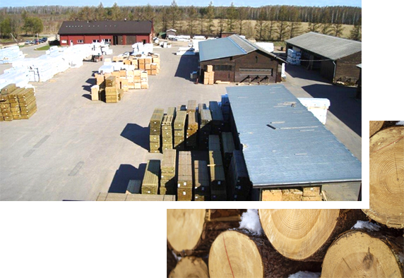 Latvia Timber International